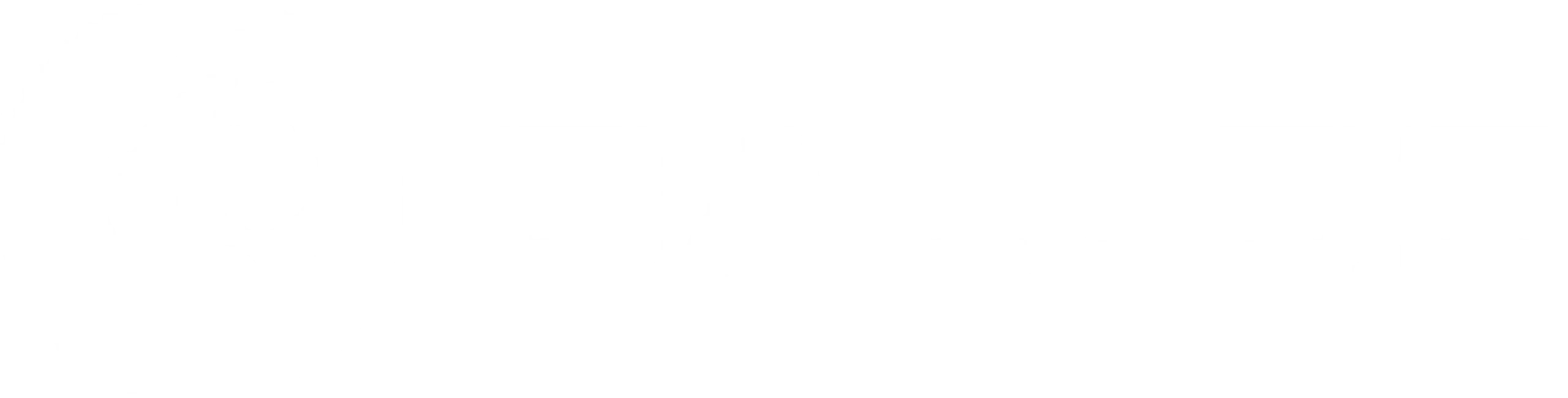 Logo galloo